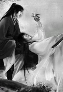 Bìa truyện Duy Quân - Hoa Yên Vũ