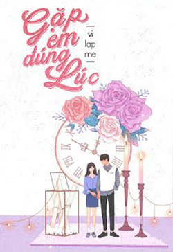 Bìa truyện Gặp Em Đúng Lúc - Vi Lạp Me