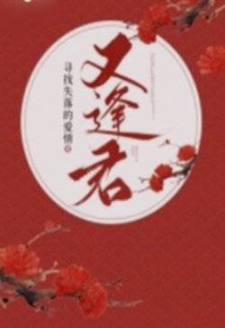 Bìa truyện Gặp Lại Quân Tìm Kiếm Tình Yêu