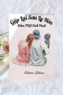 Bìa truyện Gặp Lại Sau Ly Hôn