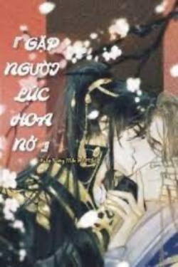 Bìa truyện Gặp Người Lúc Hoa Nở