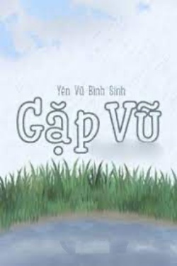 Bìa truyện Gặp Vũ