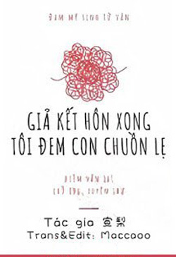 Bìa truyện Giả Kết Hôn Xong Tôi Đem Con Chuồn Lẹ - Tuyên Lê