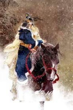 Bìa truyện Giang Đông Song Bích - Phi Thiên Dạ Tường