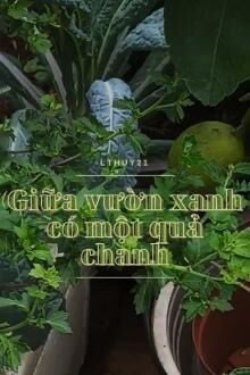 Bìa truyện Giữa Vườn Xanh Có Một Quả Chanh