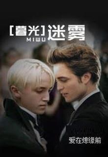 Bìa truyện [Harry Potter X Twilight] Mê Vụ - Ái Tại Tức Duyên Tiền