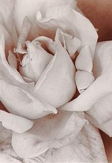 Bìa truyện Hẹn Ước (Promises) - Lisa Kleypas