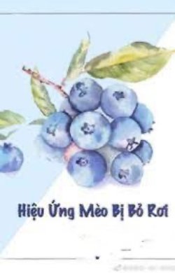 Bìa truyện Hiệu Ứng Mèo Bị Bỏ Rơi - Ngụy Tùng Lương