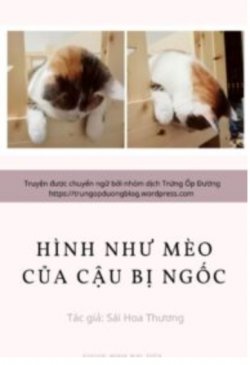 Bìa truyện Hình Như Mèo Của Cậu Bị Ngốc - Sái Hoa Thương