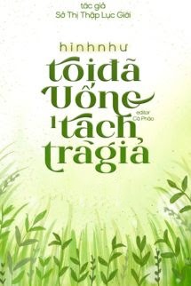 Bìa truyện Hình Như Tôi Đã Uống Một Tách Trà Giả