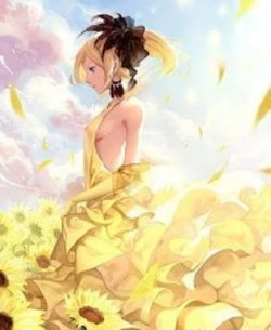 Bìa truyện Hoa Dã Quỳ