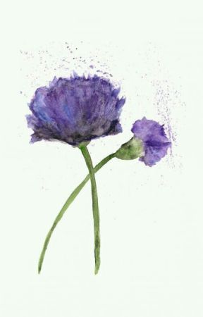 Bìa truyện Hóa Ra Người Ở Nơi Này - Thanh Phong Ngữ