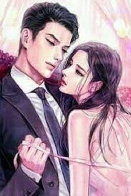 Bìa truyện Hỏa Thê Băng Phu - Ngôn Ái