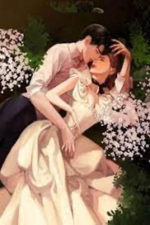 Bìa truyện Họa Tình 1 - Ánh Bình Minh