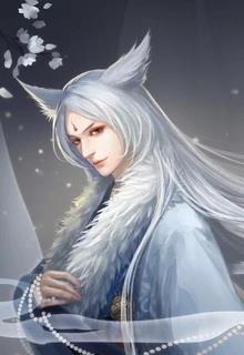 Bìa truyện Hoạn Dưỡng Thạch Đầu Đích Tiểu Hồ Ly - Bổn Điểu Tiên Phi