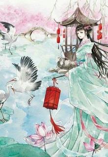 Bìa truyện Hoạn Phi Thiên Hạ - Thanh Thanh Du Nhiên