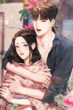 Bìa truyện Hơn Cả Tình Yêu - Sầm Lợi