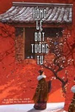 Bìa truyện Hồng Lệ Bất Tương Tư