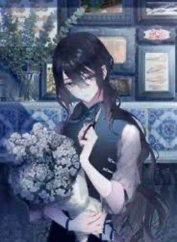 Bìa truyện Hợp Hoan - Bán Duyến Phi Điểu Bán Duyên Quân