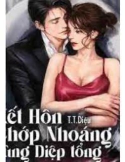 Bìa truyện Kết Hôn Chớp Nhoáng Cùng Diệp Tổng