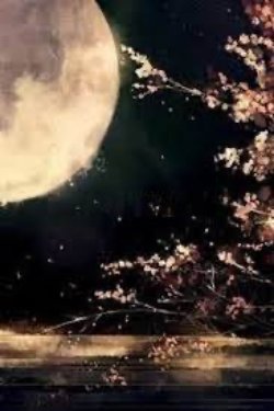 Bìa truyện Khả Tích Xuân Đương Mộ