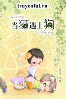Bìa truyện Khi Mèo Gặp Chó - Tố Lưu Hồi Xuyên