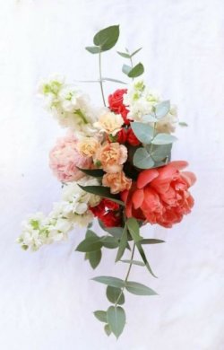 Bìa truyện Không Ai Thích Chu Tự Thư - Nặc Danh Hàm Ngư