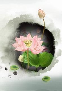 Bìa truyện Không Có Lai Sinh - Phong Ca