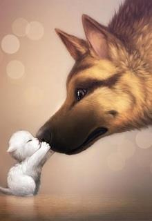 Bìa truyện Không Phải Oan Gia, Không Chung Nhà - A Bạch Bạch