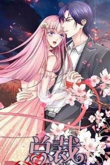 Bìa truyện Kiều Thê Tại Thượng Tổng Tài Mau Quỳ Xuống - Đang Cập Nhập