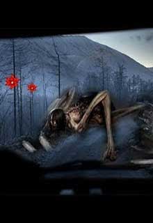 Bìa truyện Kỳ Án Hoa Rơi Tử Lộ - Vô Diện Thi Sĩ