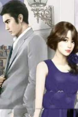 Bìa truyện Lão Bà Nữ Cường Của Tổng Tài