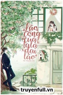 Bìa truyện Lão Công Của Ta Là Đại Lão - Tử Thanh Du