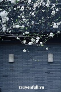 Bìa truyện Lê Hoa Hựu Khai Phóng (Hoa Lê Lại Nở) - Quảng Lăng Tán Quảng Lăng Tán Nhi