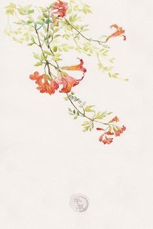 Bìa truyện Liên Hoa - Mễ Hoa - Mễ Hoa