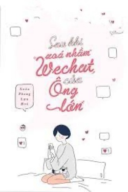 Bìa truyện Lỡ Tay Xoá Nhầm Wechat Của Lão Đại - Xuân Phong Lựu Hỏa
