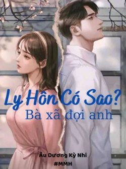Bìa truyện Ly Hôn Có Sao? Bà Xã Đợi Anh