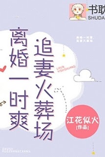 Bìa truyện Ly Hôn Nhất Thời Sảng, Truy Thê Hỏa Táng Tràng