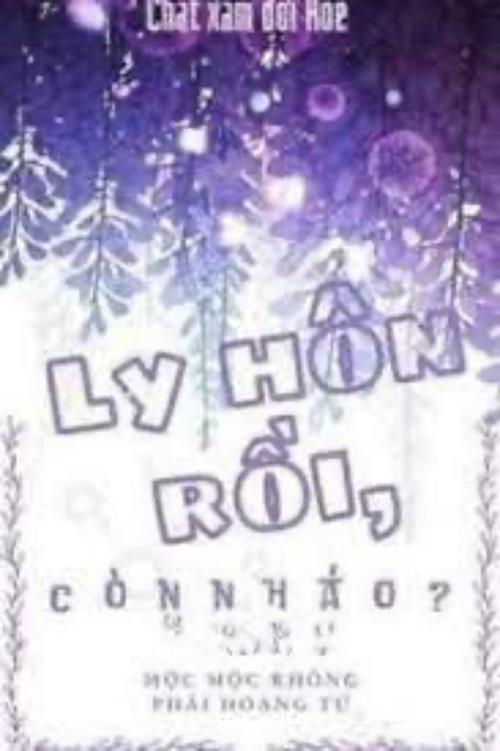 Bìa truyện Ly Hôn Rồi, Còn Nháo