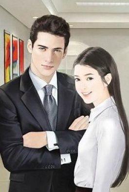 Bìa truyện Mảnh Kí Ức Của Nữ Phụ - Diệp Vũ Sênh Ca