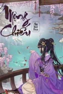 Bìa truyện Mộng Chiếu