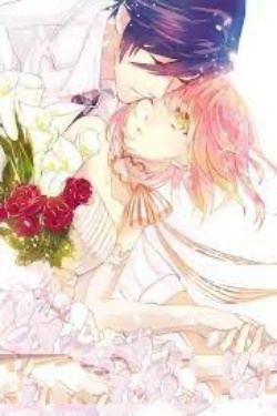 Bìa truyện Một Đời Một Kiếp Quá Xa Xôi - Phạm Kiều Trang