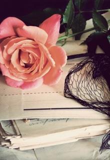 Bìa truyện Một Năm Kia - Tự Từ