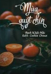 Bìa truyện Mùa Quýt Chín - Bạch Nhất Mặc
