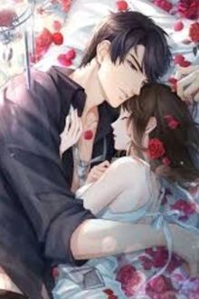 Bìa truyện Mưu Đoạt Hạnh Phúc 2