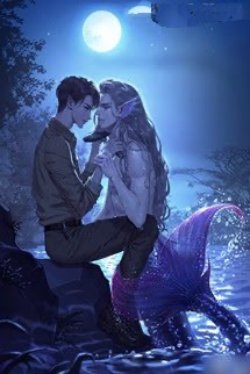 Bìa truyện Mỹ Nam Ngư Tiên Sinh Anh Đừng Lại Đây! - Nguyệt Cầm Ỷ Mộng