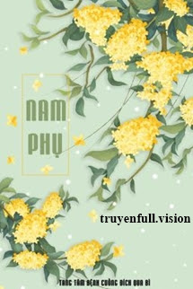 Bìa truyện Nam Phụ - Tang Tâm Bệnh Cuồng Đích Qua Bì - Tang Tâm Bệnh Cuồng Đích Qua Bì
