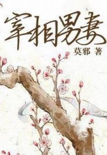 Bìa truyện Nam thê của Tể tướng - Mạc Tà