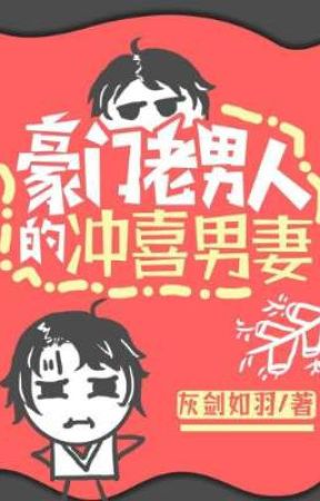 Bìa truyện Nam Thê Xung Hỉ Của Lão Nam Nhân Nhà Giàu - Hôi Kiếm Như Vũ