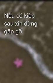 Bìa truyện Nếu Có Kiếp Sau, Xin Đừng Gặp Gỡ!